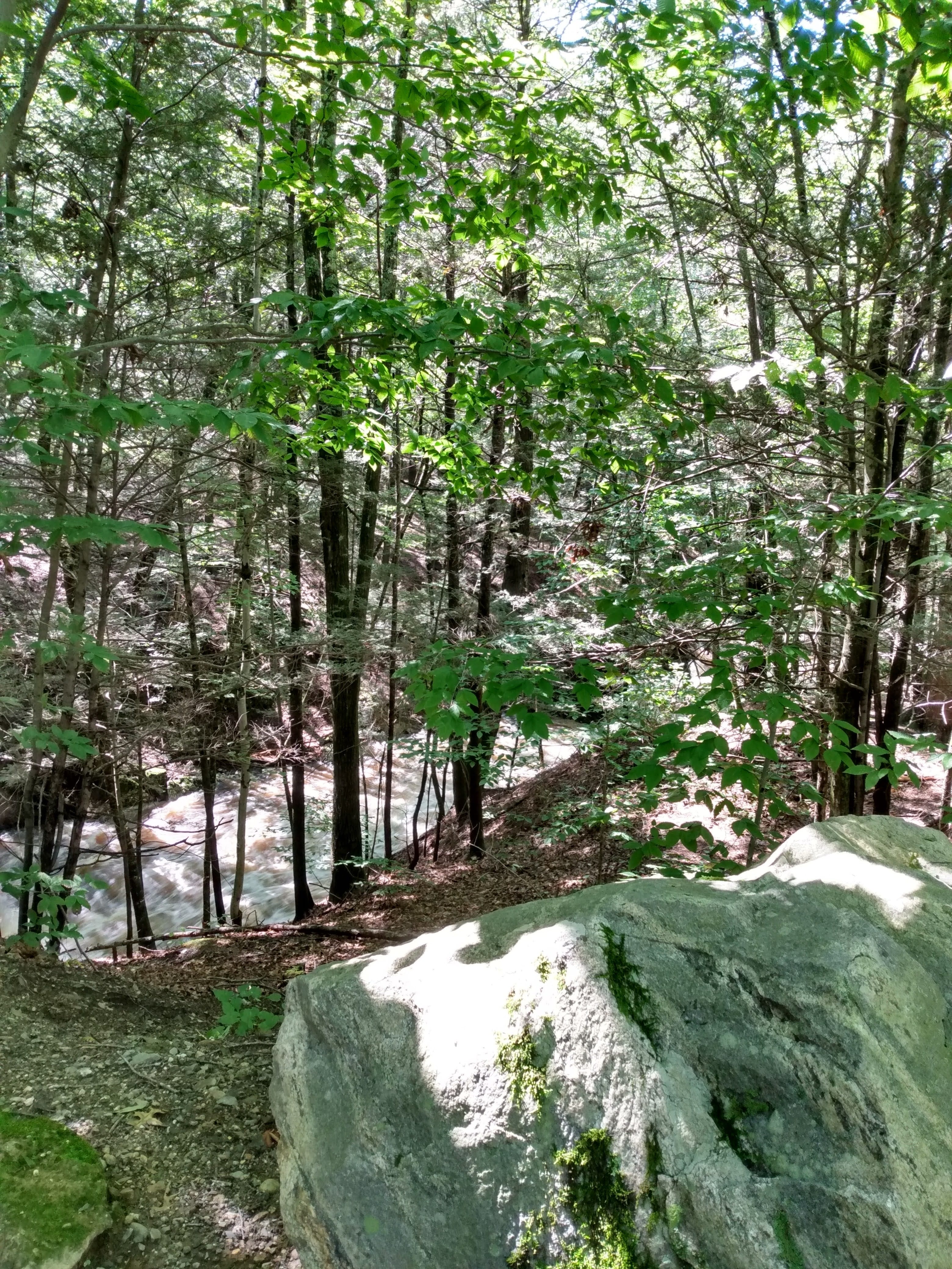 Most of the path was on elevated ground, but we could often see and hear violently rushing waters just below where we were cycling surging from the recent storm.