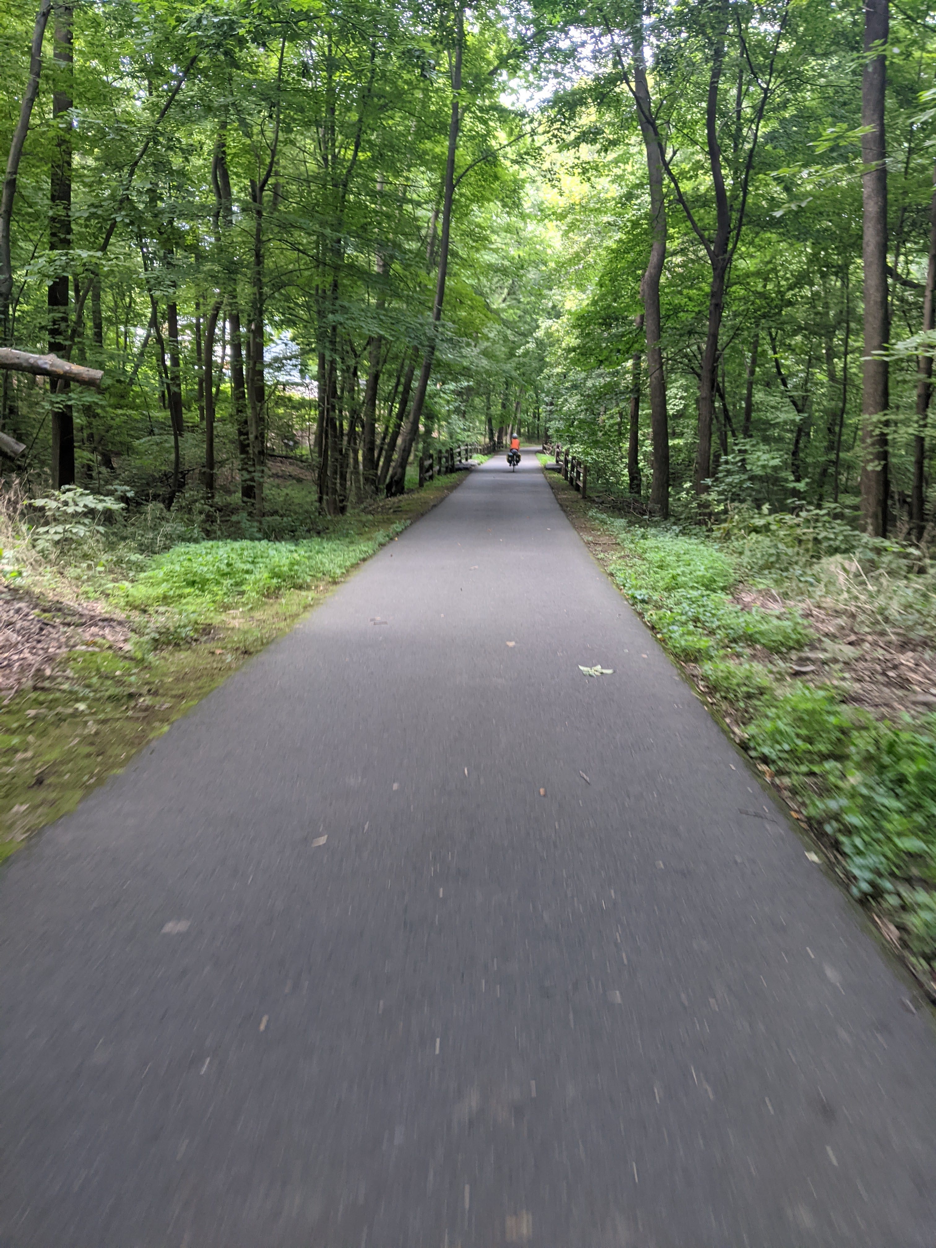 The Empire State Trail was well surfaced with a comfortable canopy of trees overhead and plenty of wonderful, natural views.