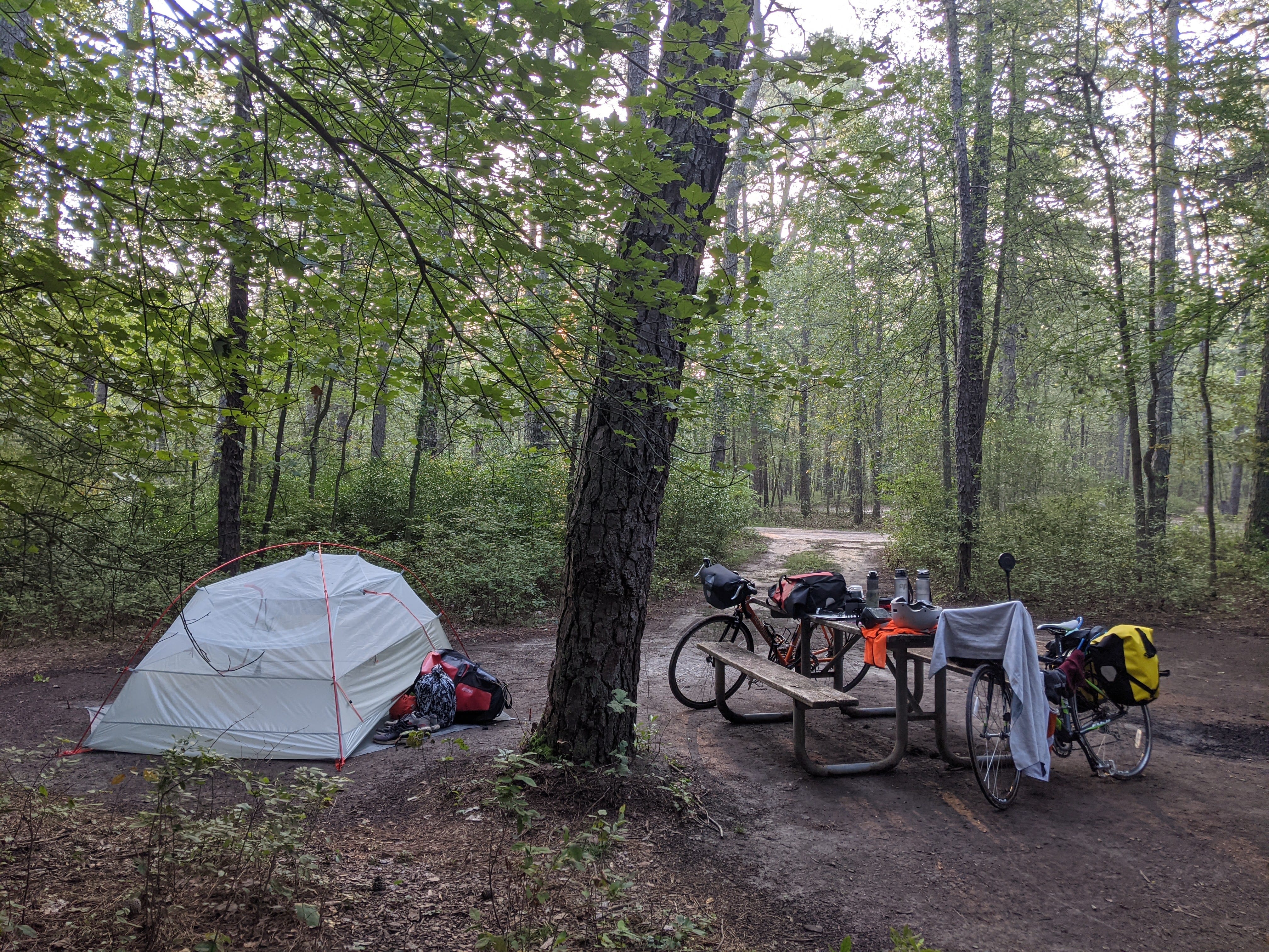 Another view of our campsite at Brendan T. Byrne State Forest