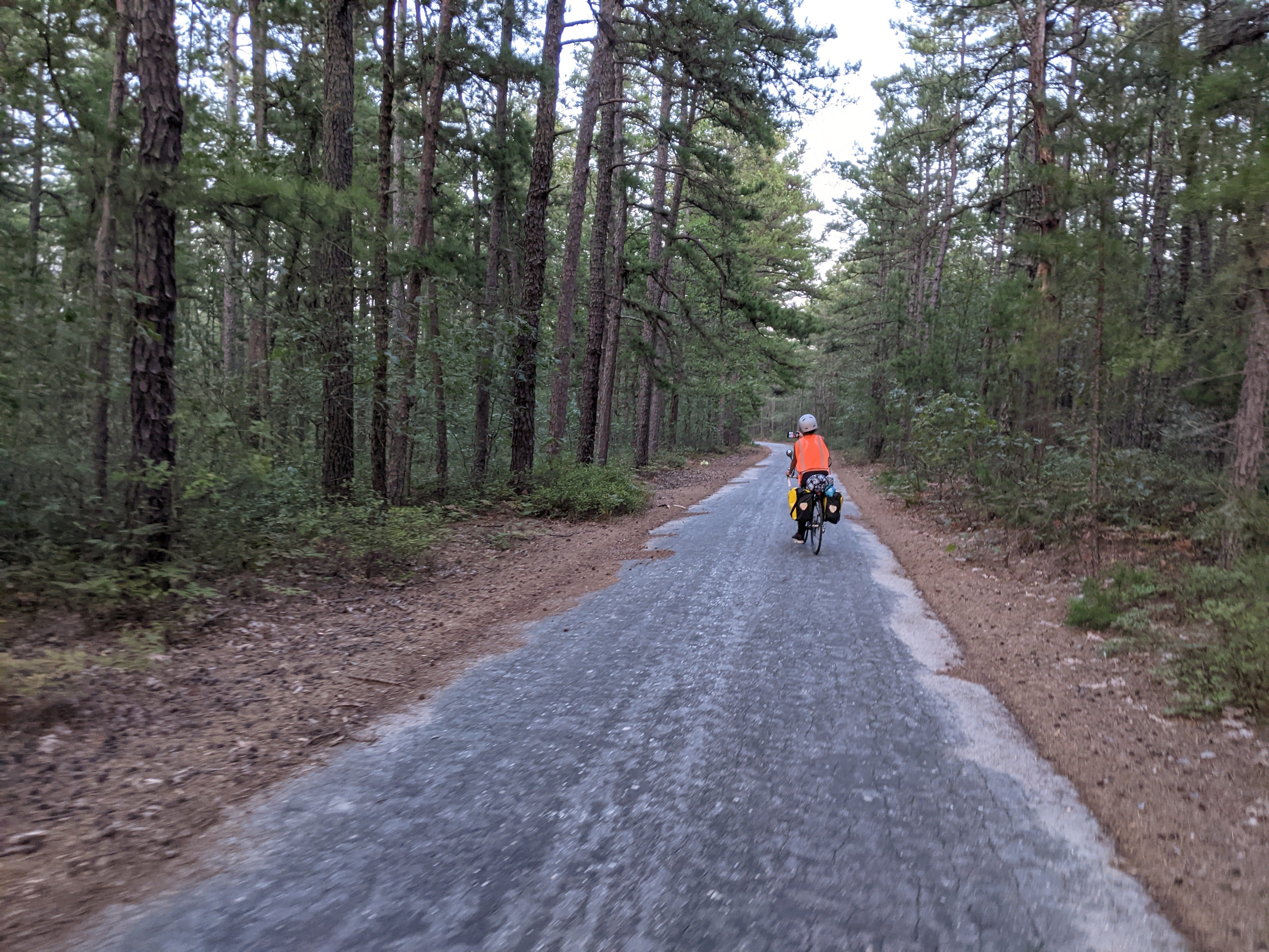 The road into Brendan T. Byrne State Forest was densely lined with pine trees and notably absent of any other campers.