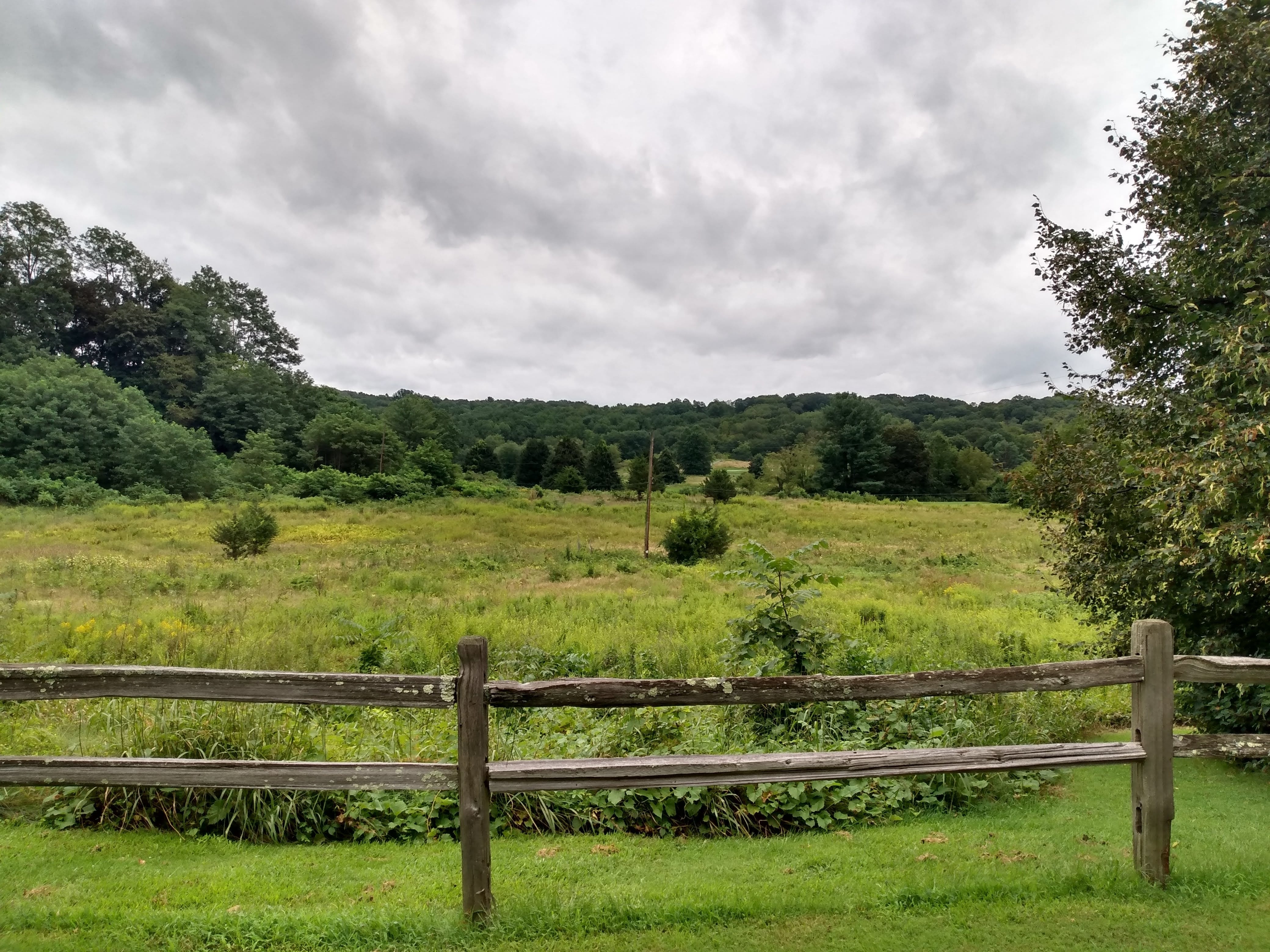 A view of the landscape at Ogden Mills and Ruth Livingston State Park